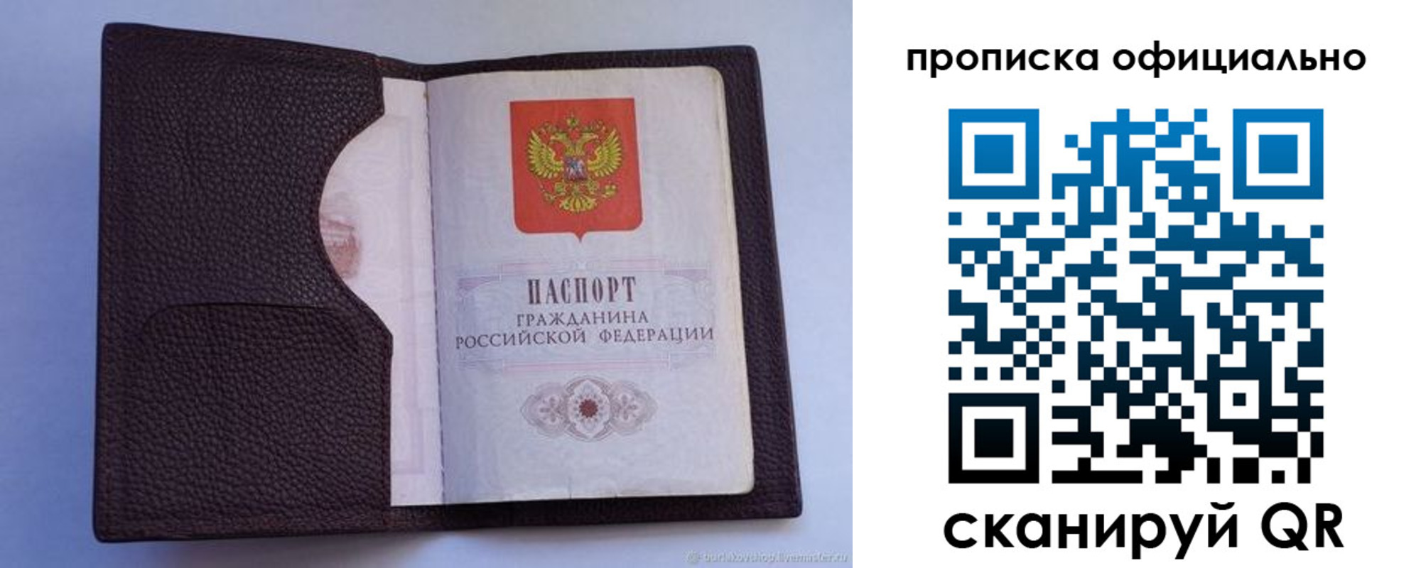 купить прописку в Зверево